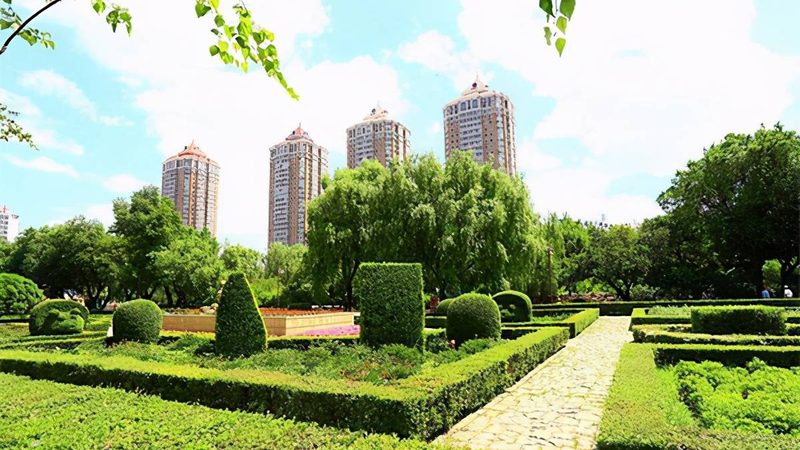 道路绿化工程验收 重庆地方标准到底看什么