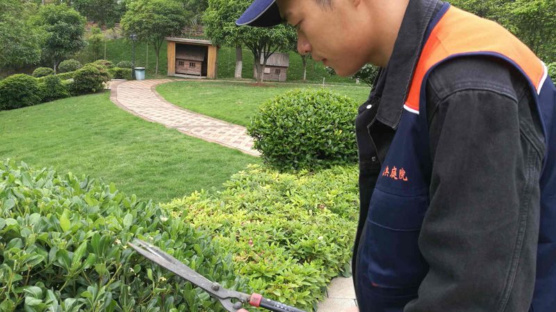 园林工程报价流程揭秘：定制方案的关键要素**