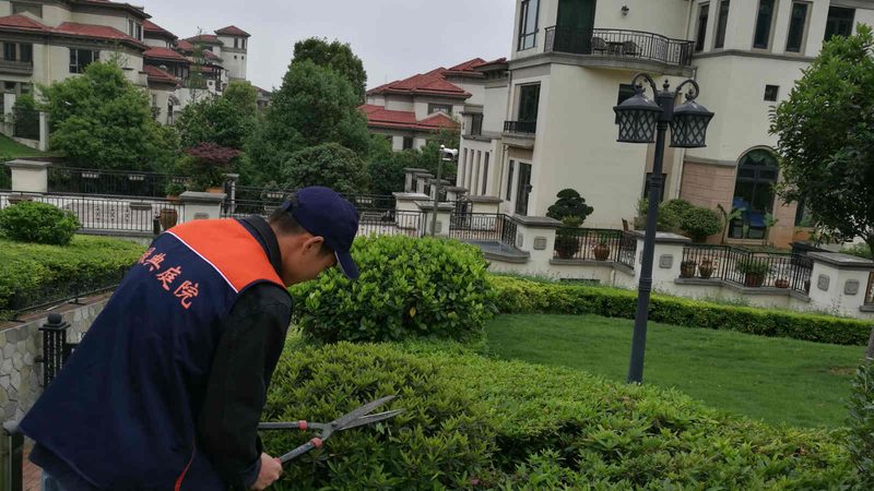 垂直绿化工程报价标准：揭秘影响因素与合理评估