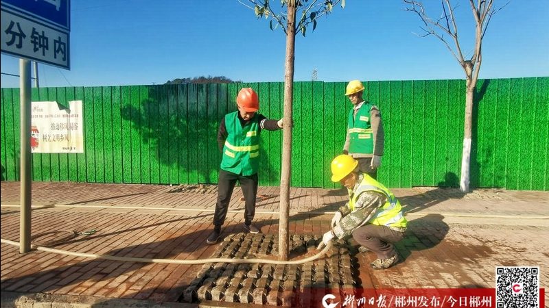 屋顶绿化，上海报价几何？揭秘屋顶绿化成本构成**