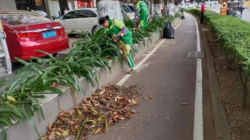 南方市政草坪草种如何选择？关键因素解析
