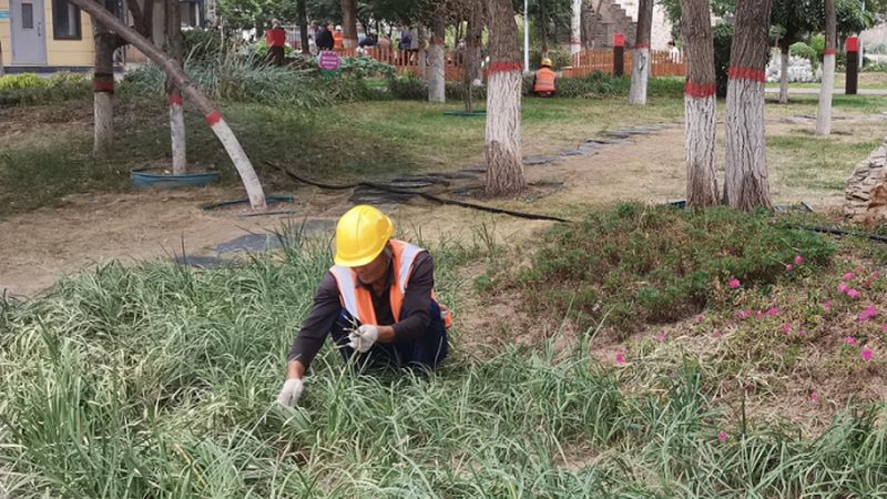 乡村庭院景观设计，如何挑选专业公司？**