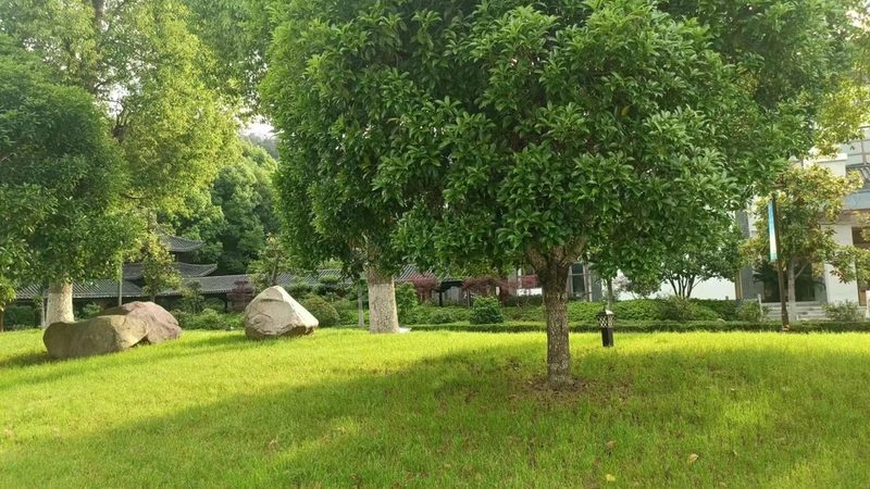 屋顶绿化基质铺设，这些施工方法才靠谱