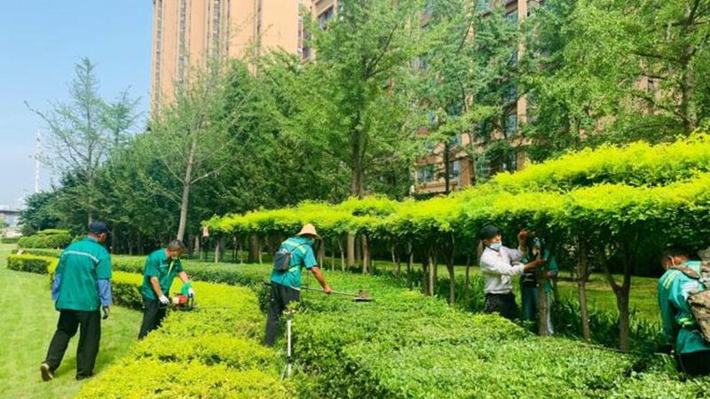 立体绿化工程报价方案的考量因素**