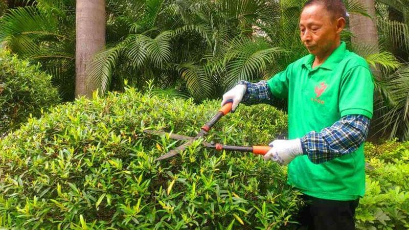 现代别墅花园设计风格解析：从自然到艺术